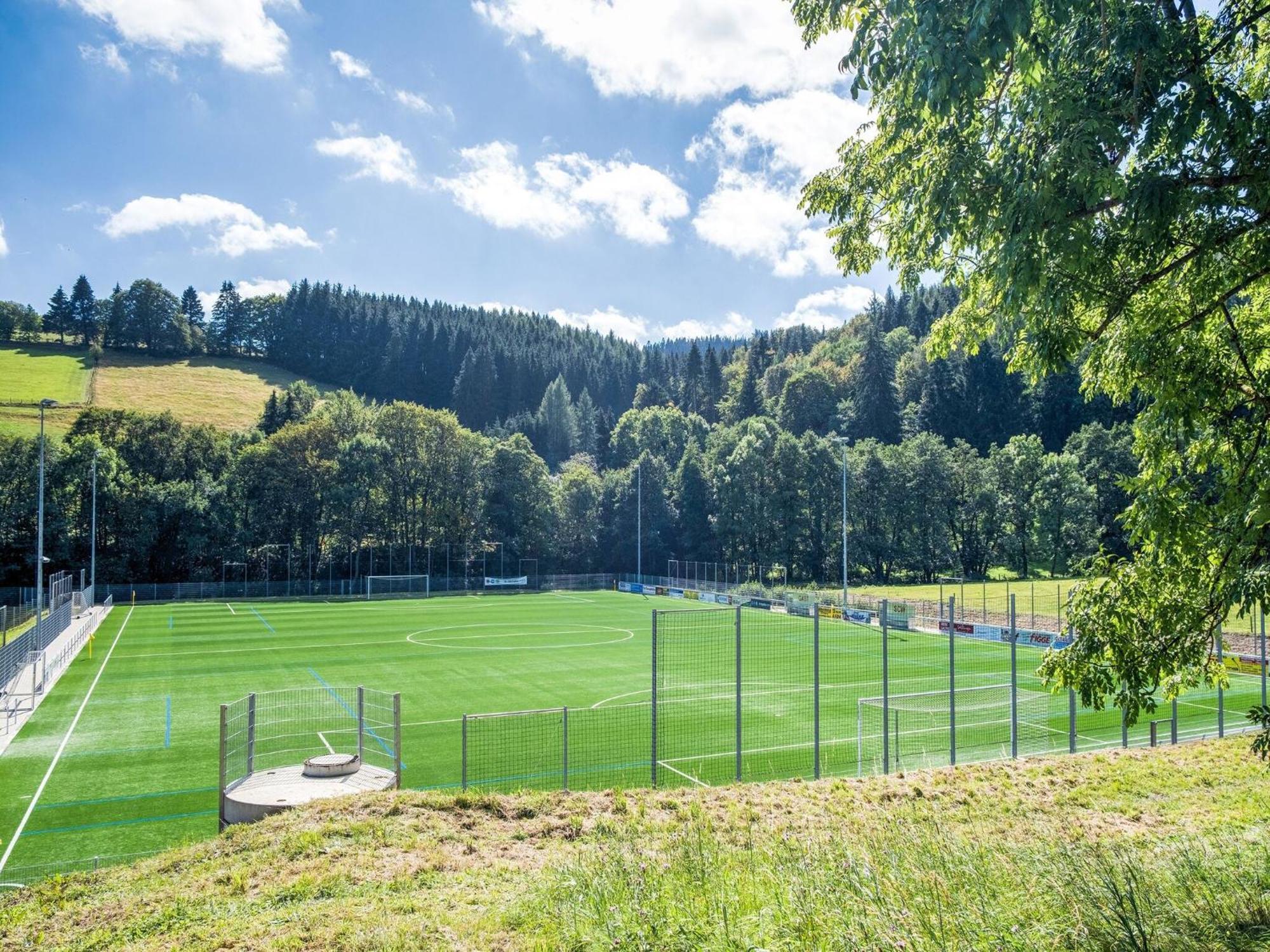 Modern Apartment In Schwalefeld With Garden Willingen (Upland) Exterior foto